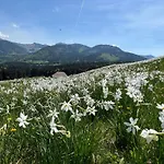 Apartment Vigneronne- App- By Interhome