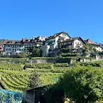 Appartamento Vigneronne- App- By Interhome Blonay