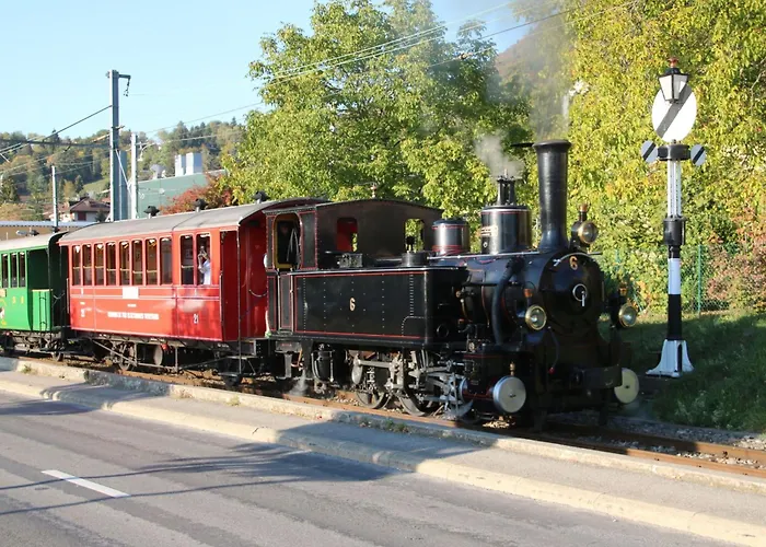 Vigneronne- App- By Interhome Blonay