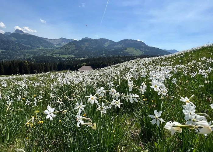 Appartement Vigneronne- App- By Interhome