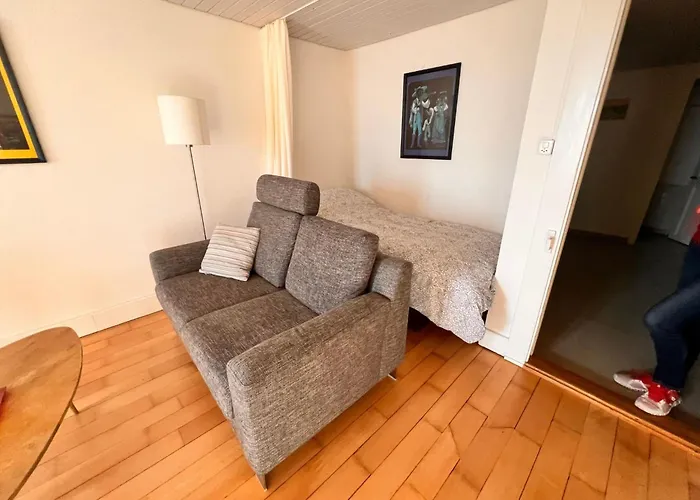 Vigneronne- App- By Interhome * Blonay