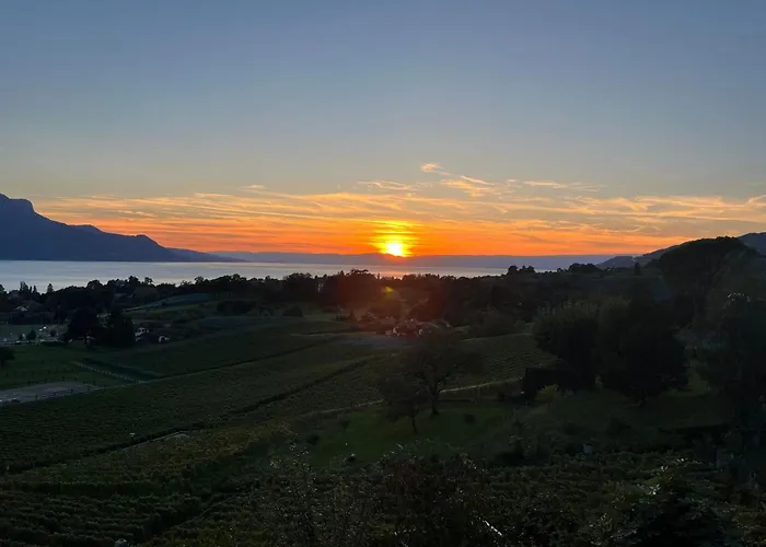 Appartement Vigneronne- App- By Interhome Blonay