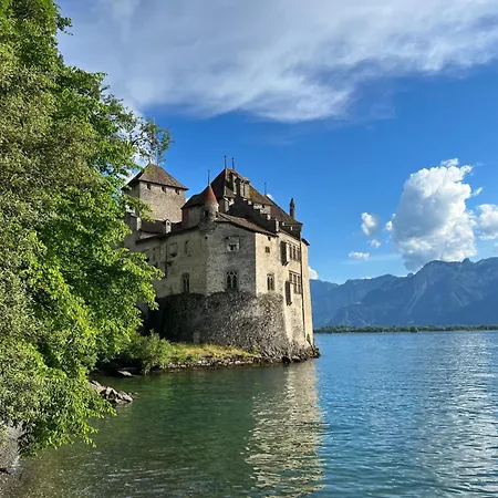 Vigneronne- App- By Interhome דירה Blonay