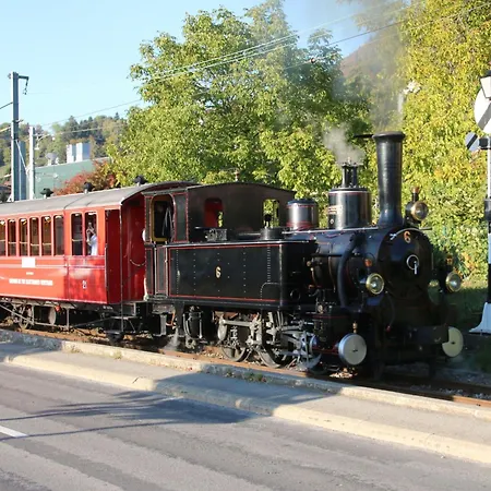 Vigneronne- App- By Interhome Blonay